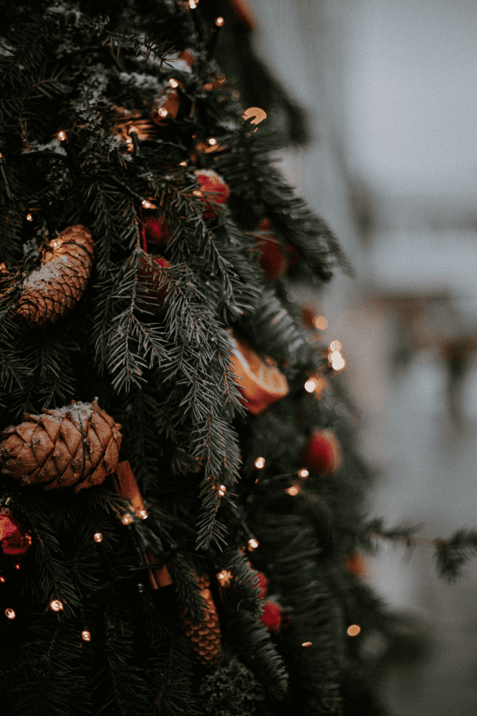 The Christmas Collection